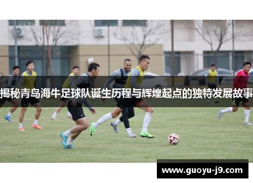 揭秘青岛海牛足球队诞生历程与辉煌起点的独特发展故事 揭秘青岛海牛足球队诞生历程与辉煌起点的独特发展故事