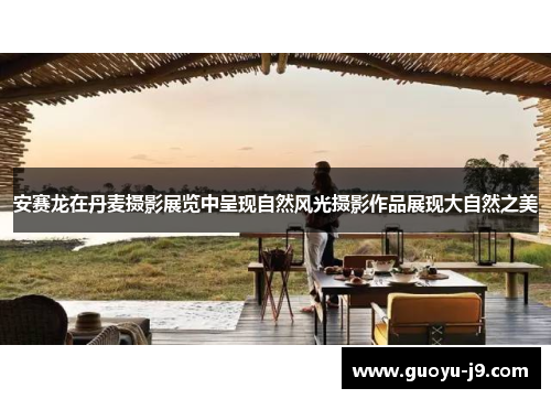 安赛龙在丹麦摄影展览中呈现自然风光摄影作品展现大自然之美 安赛龙在丹麦摄影展览中呈现自然风光摄影作品展现大自然之美