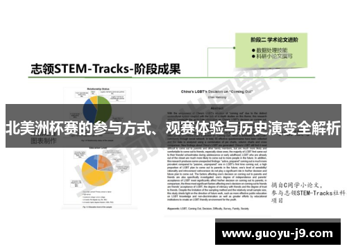 北美洲杯赛的参与方式、观赛体验与历史演变全解析
